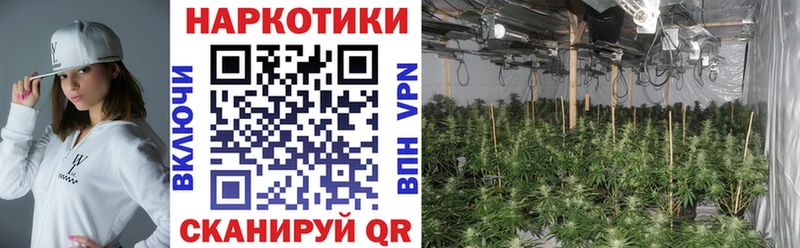 Где найти наркотики Ладушкин А ПВП  Меф  COCAIN  АМФЕТАМИН  Канабис  Гашиш 