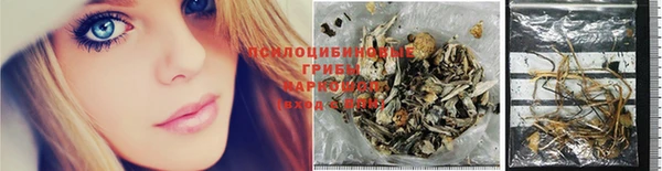 мдпв Лиски