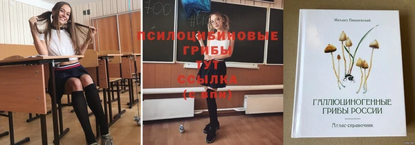 соль курить ск Кулебаки