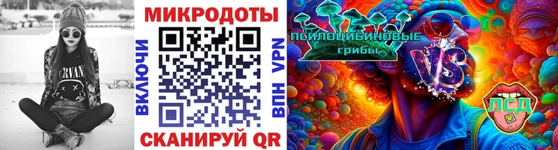 Галлюциногенные грибы мицелий  Ладушкин 